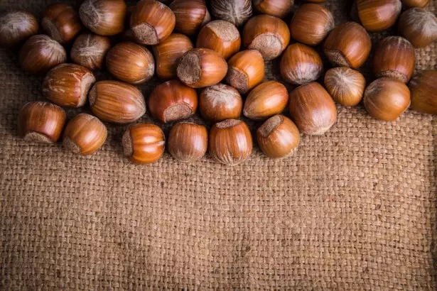 ProizvodnjapeletaBrodsko-posavskažupanija5 ProizvodnjapeletaBrodsko-posavskažupanija5