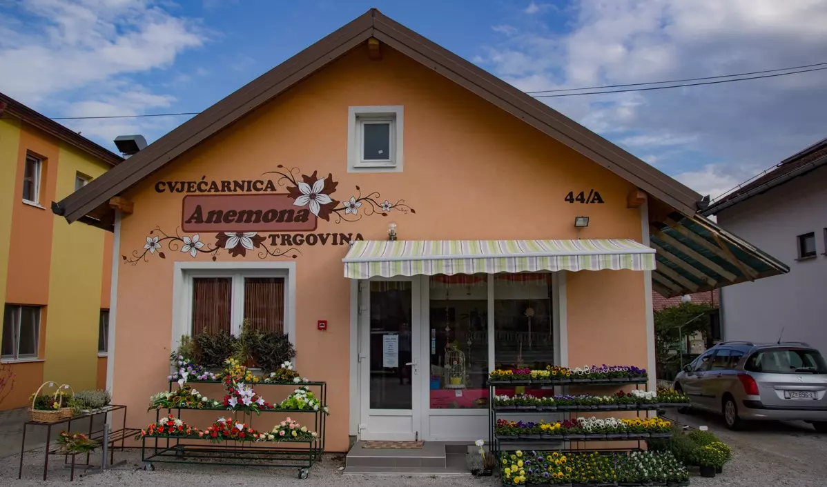 Proizvodnjaraznolikogcvijećaiukrasnogbilja,Cestica,Varaždin,Varaždinskažupanija