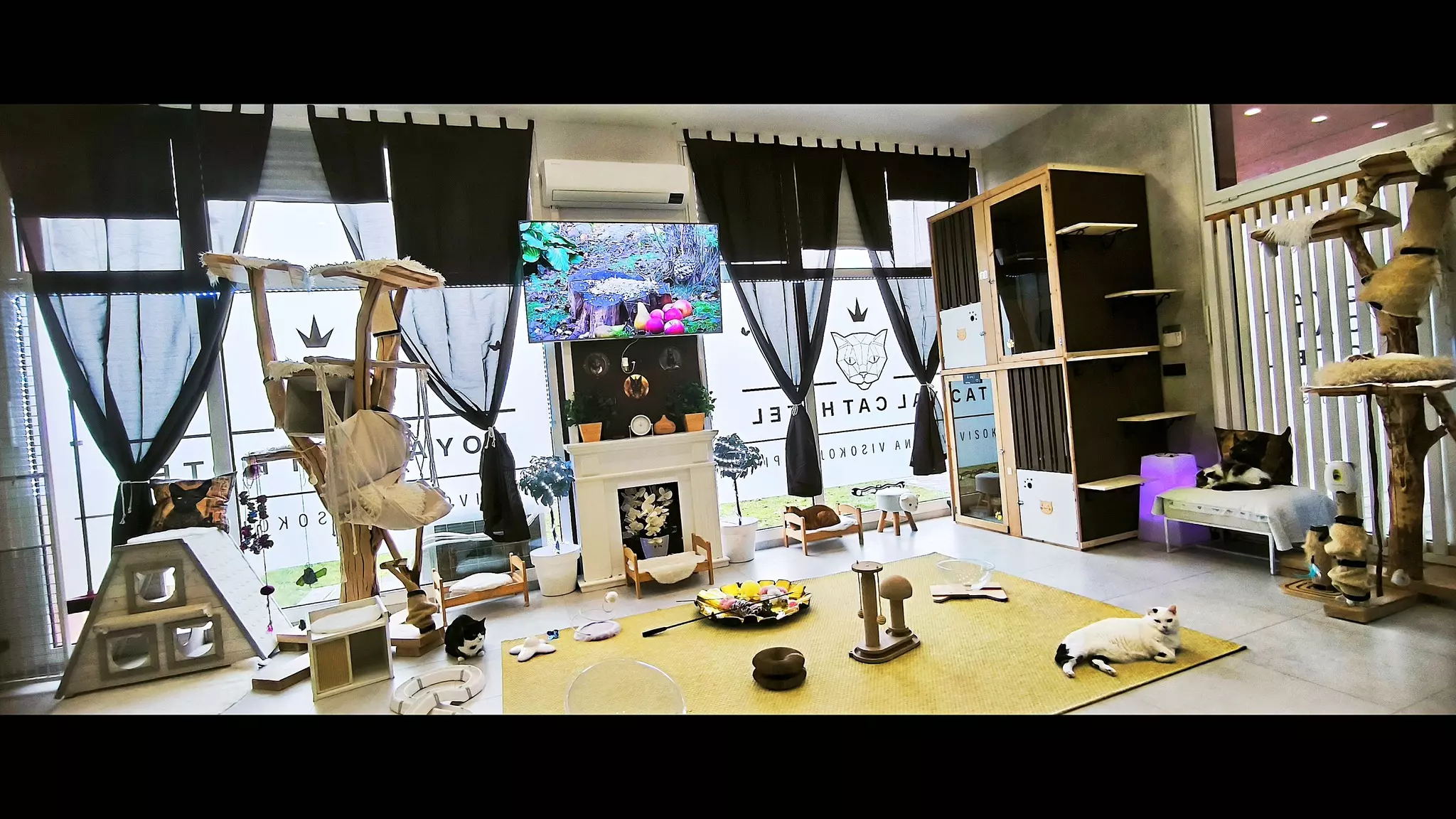 Hotel za mačke Zagreb, Hrvatska