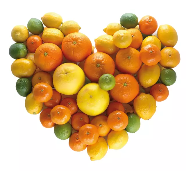 agrumi Rasadnik sadnica agruma, Opuzen