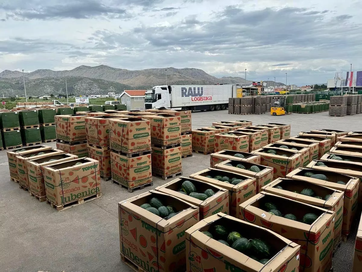 Rent erecting machine, Zagreb, Croatia