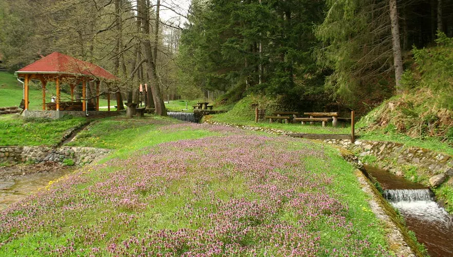 Restoran_i_smještaj,seoski_turizam,Slatina Restoran_i_smještaj,seoski_turizam,Slatina