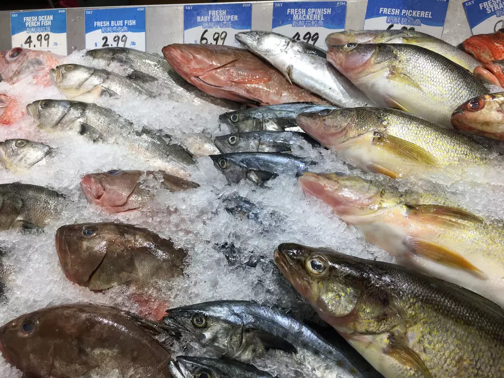 Ribarnica,Mali_Lošinj2