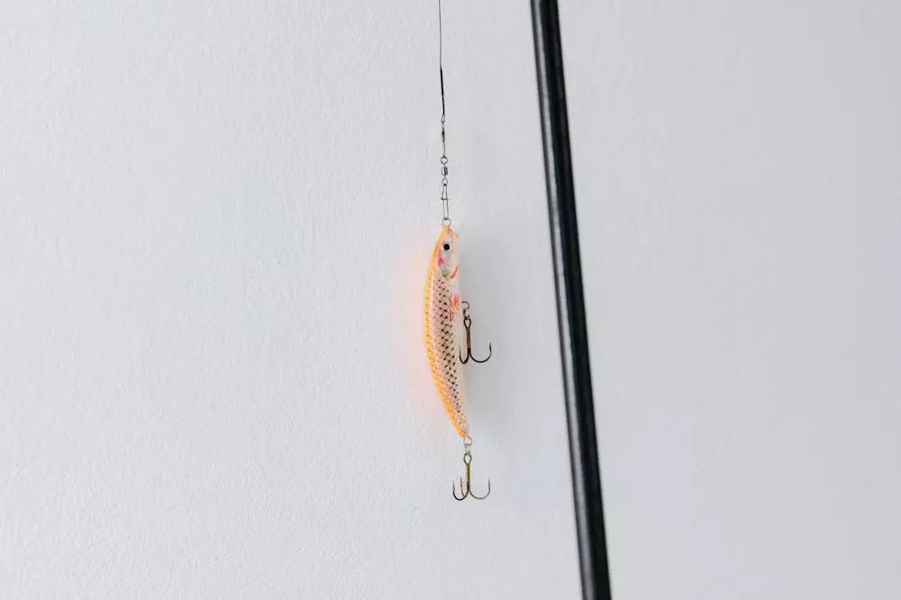 Ribolovštapovizapecanje01