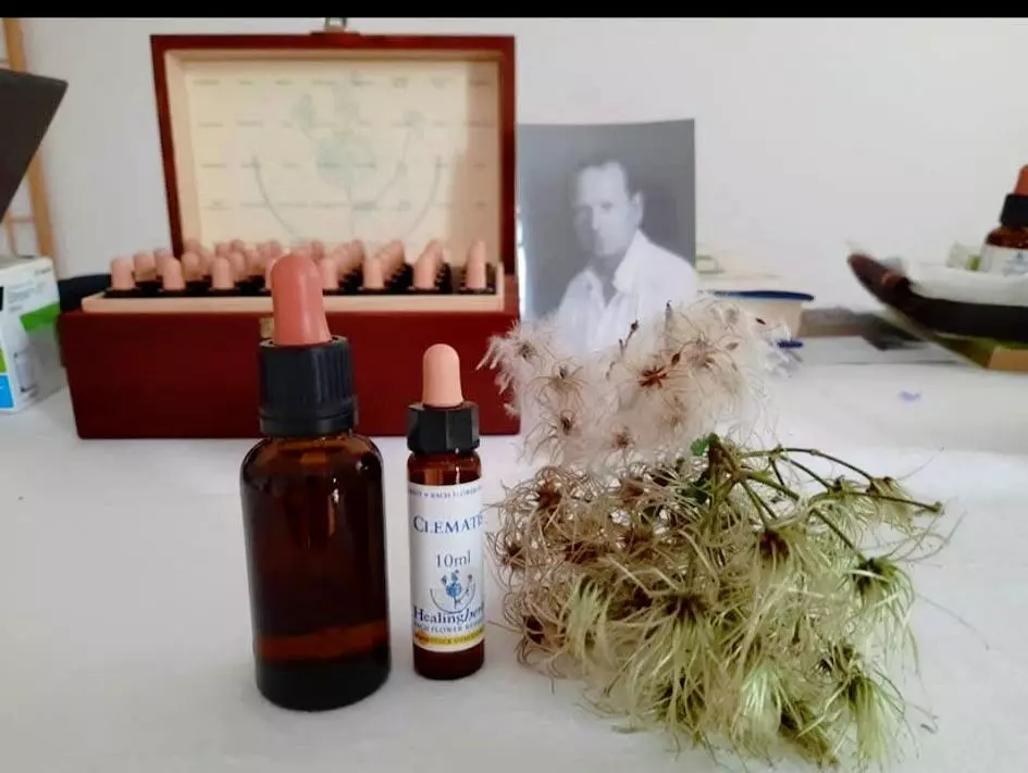 Masaža Salon za masažu tijela Opatija u Hrvatskoj