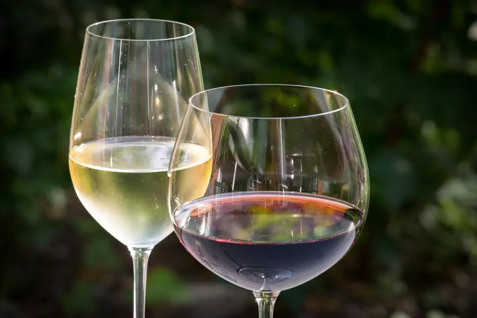 savjetovanje vina