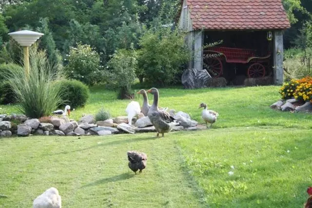 SeoskiturizamuslavonskojidiliVelika