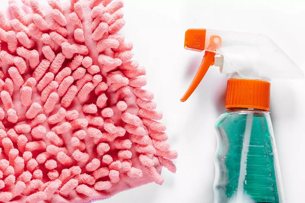 Servis za čišćenje  Pula