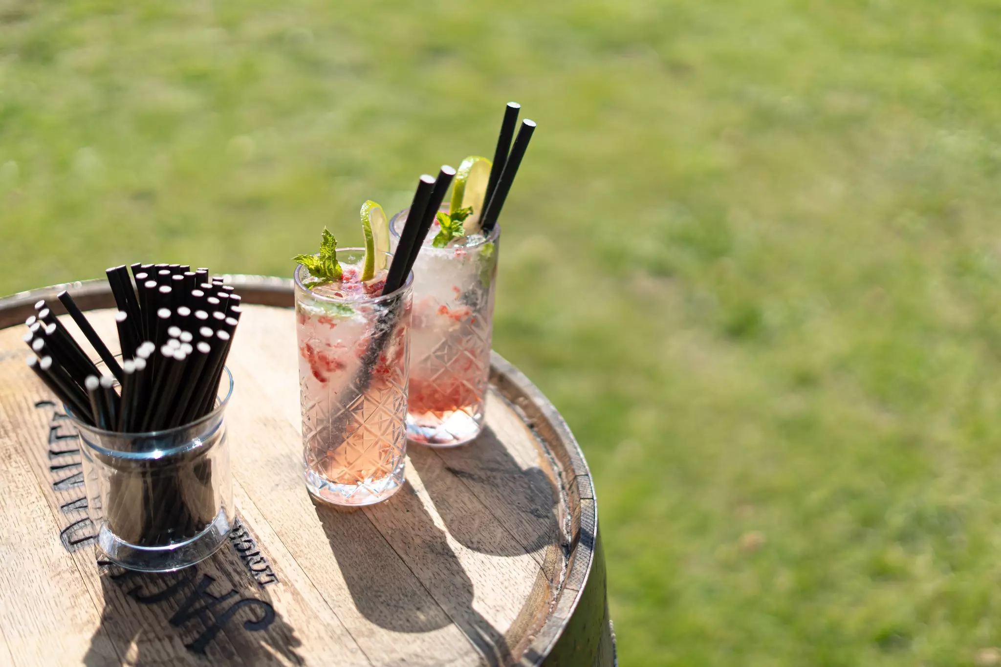 Profesionalni barmeni i miješanje koktela na eventima Strahoninec Hrvatska