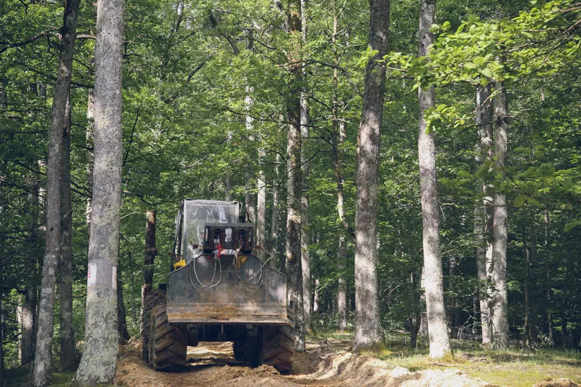 Sječadrvaiizvlačenjetrupaca,Našice5 Sječadrvaiizvlačenjetrupaca,Našice5