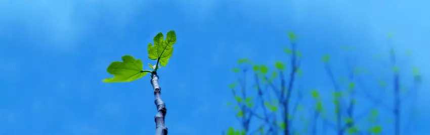 Privatni psiholog i psihološko savjetovanje Rijeka u Istri