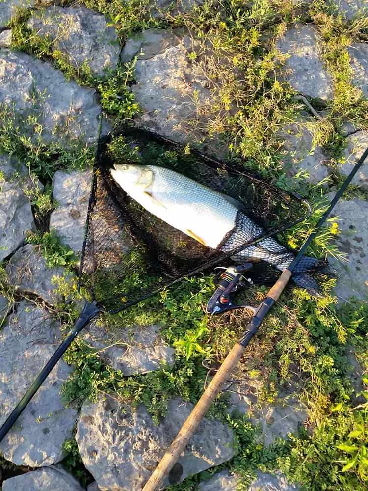 Sportski ribolov Vukosavlje