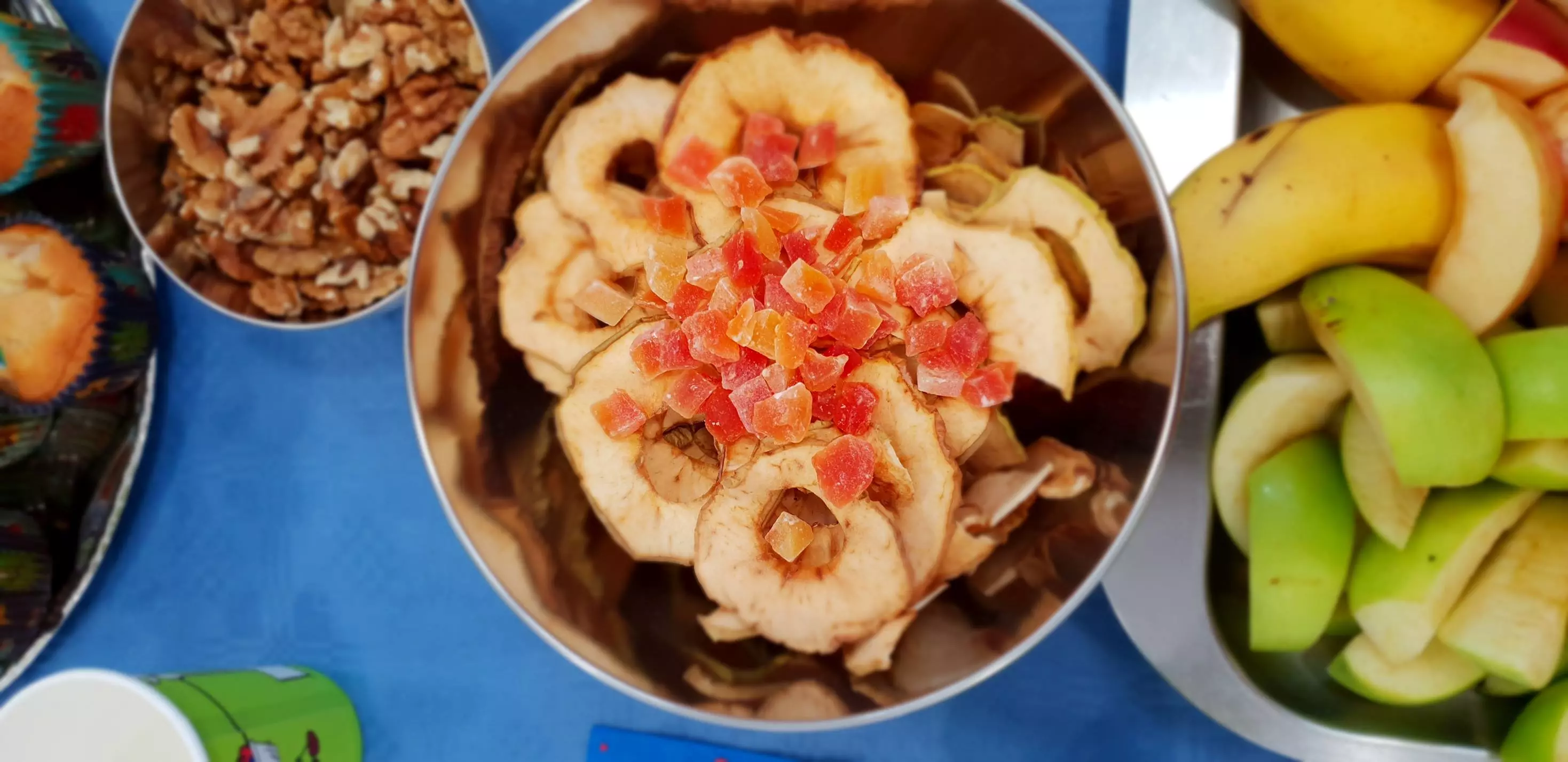 SportskonutricionistickarodendaonicaOsijek1