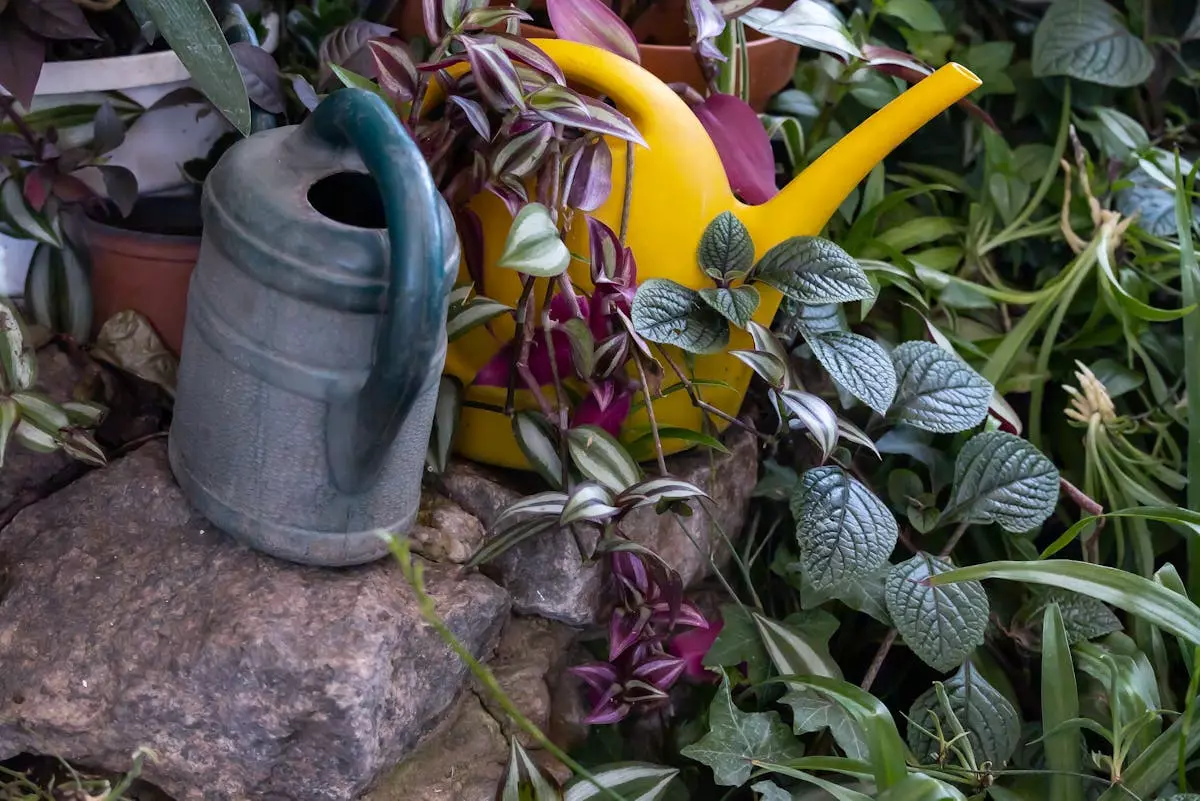 Sredstva za zaštitu bilja i đubriva Sarajevo