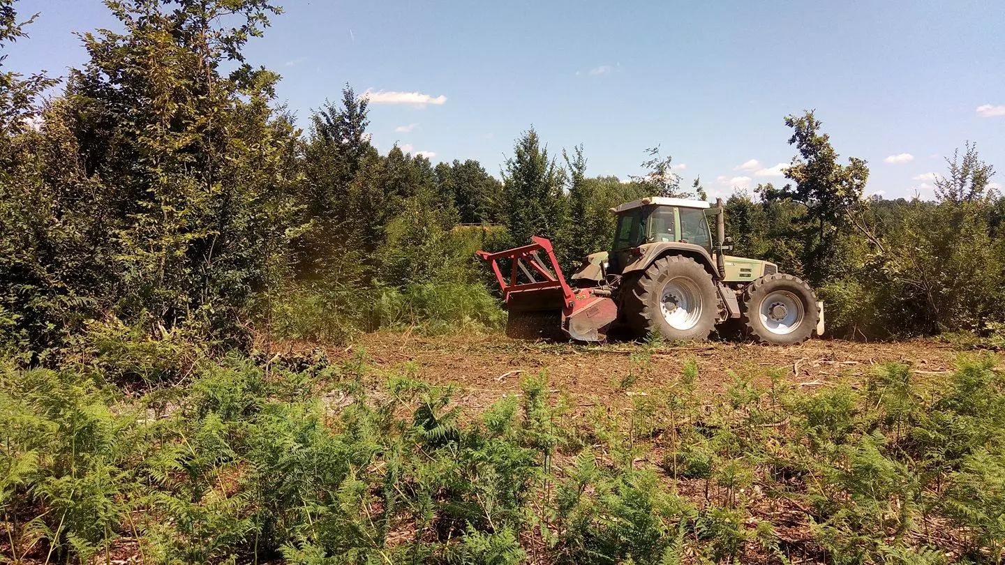 Usluge malčiranja zemljišta