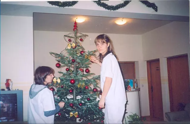 Stručnamedicinskaskrb,GoricaSvetojanska