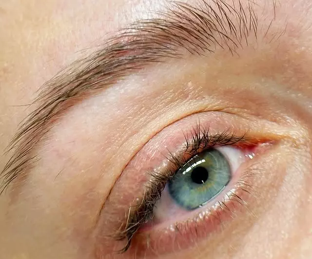 Studio za oblikovanje obrva u Zagrebu