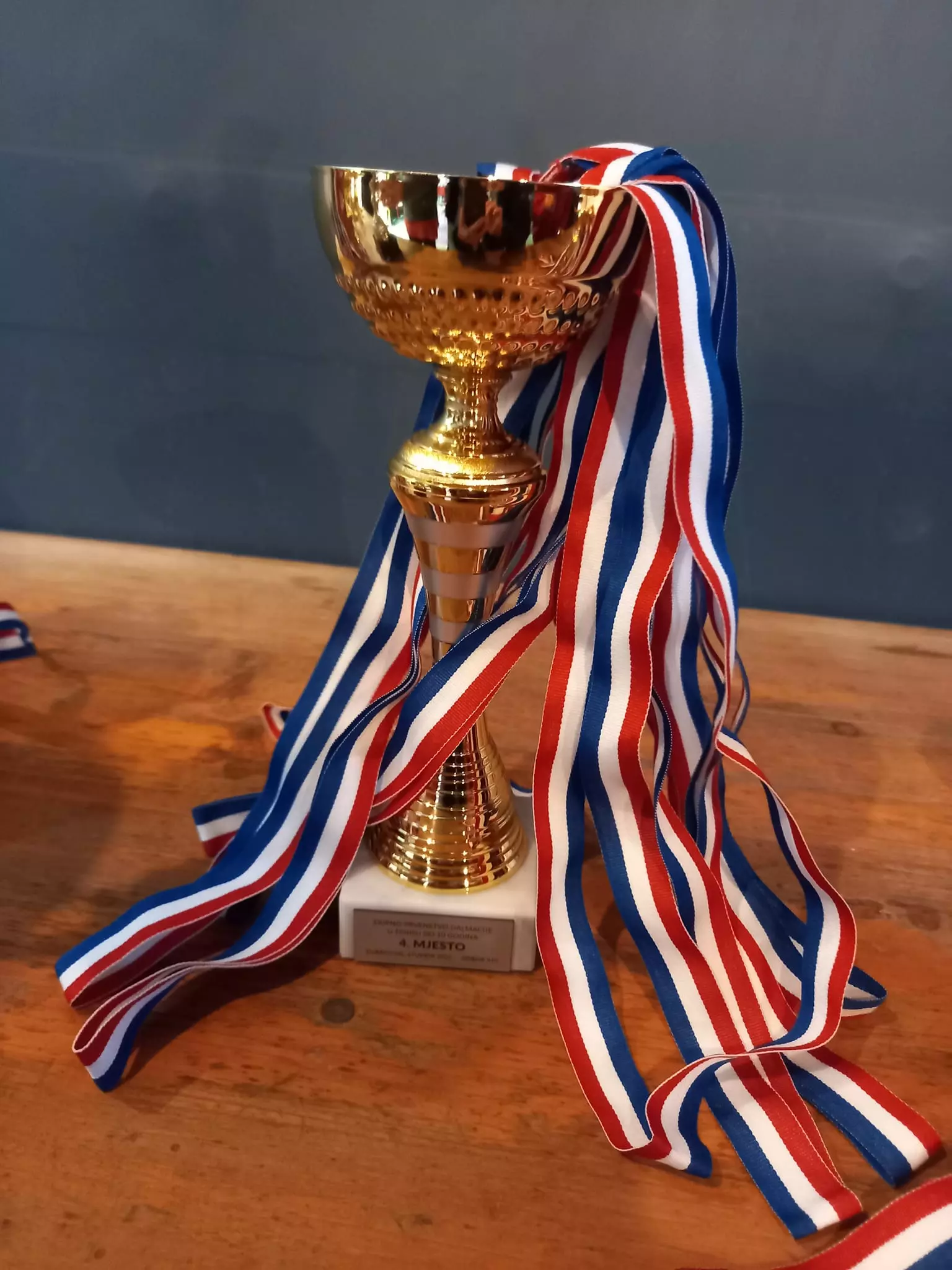 Škola tenisa, organiziranje treninga u Solinu, RH