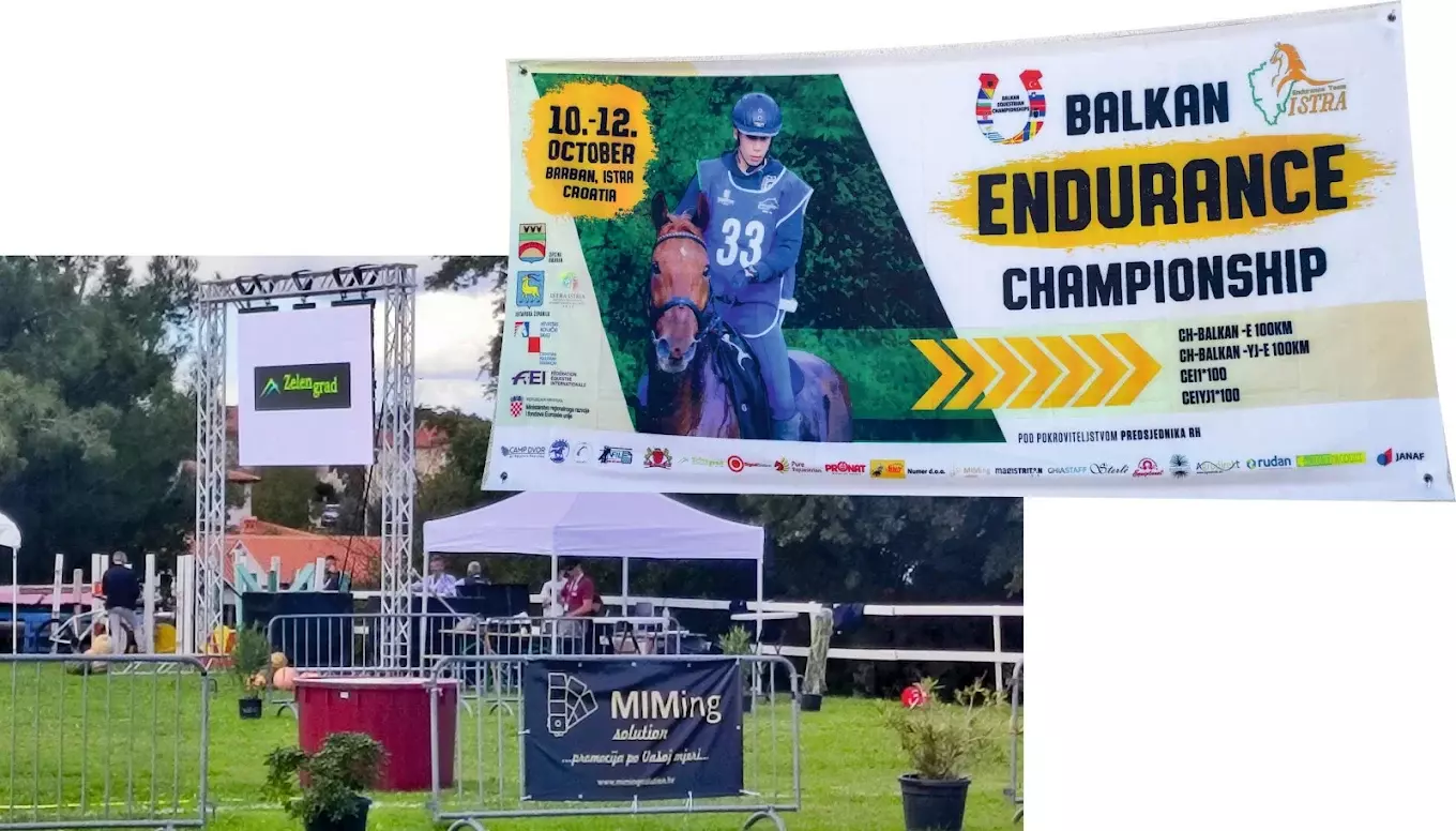 Tisak reklamni Zagreb, Hrvatska