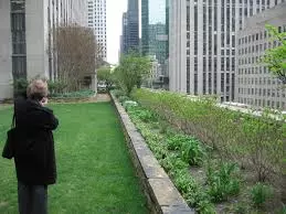 Trajnice,sedumiikrovnivrtovi,Zagreb Trajnice,sedumiikrovnivrtovi,Zagreb