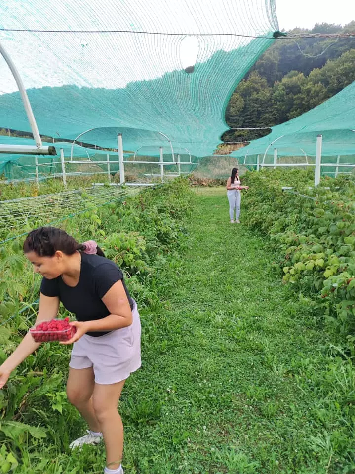 Tretman_rizičnih_ponašanja_Karlovac Tretman_rizičnih_ponašanja_Karlovac