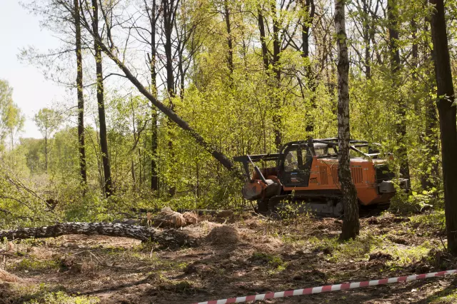 Trgovinaogrijevnimdrvetomsasvimšumarskimuslugama,DugoSeloLukačko,Hrvatska3 Trgovinaogrijevnimdrvetomsasvimšumarskimuslugama,DugoSeloLukačko,Hrvatska3