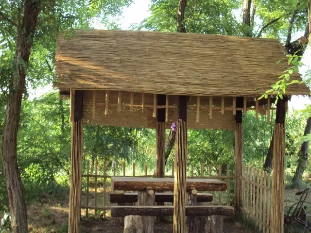 TrstikaHrvatska2 TrstikaHrvatska2