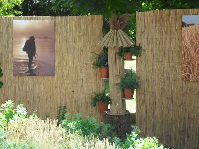 TrstikaHrvatska3 TrstikaHrvatska3