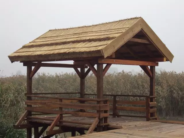 TrstikaHrvatska6 TrstikaHrvatska6