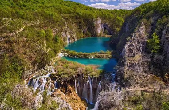 TurističkaagencijaOrhidejature