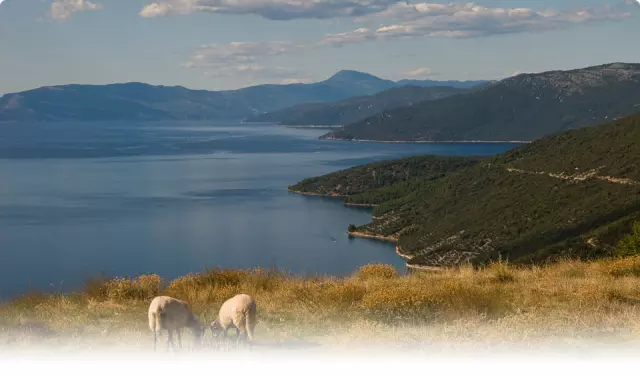 Turističkeinformacije,Cres