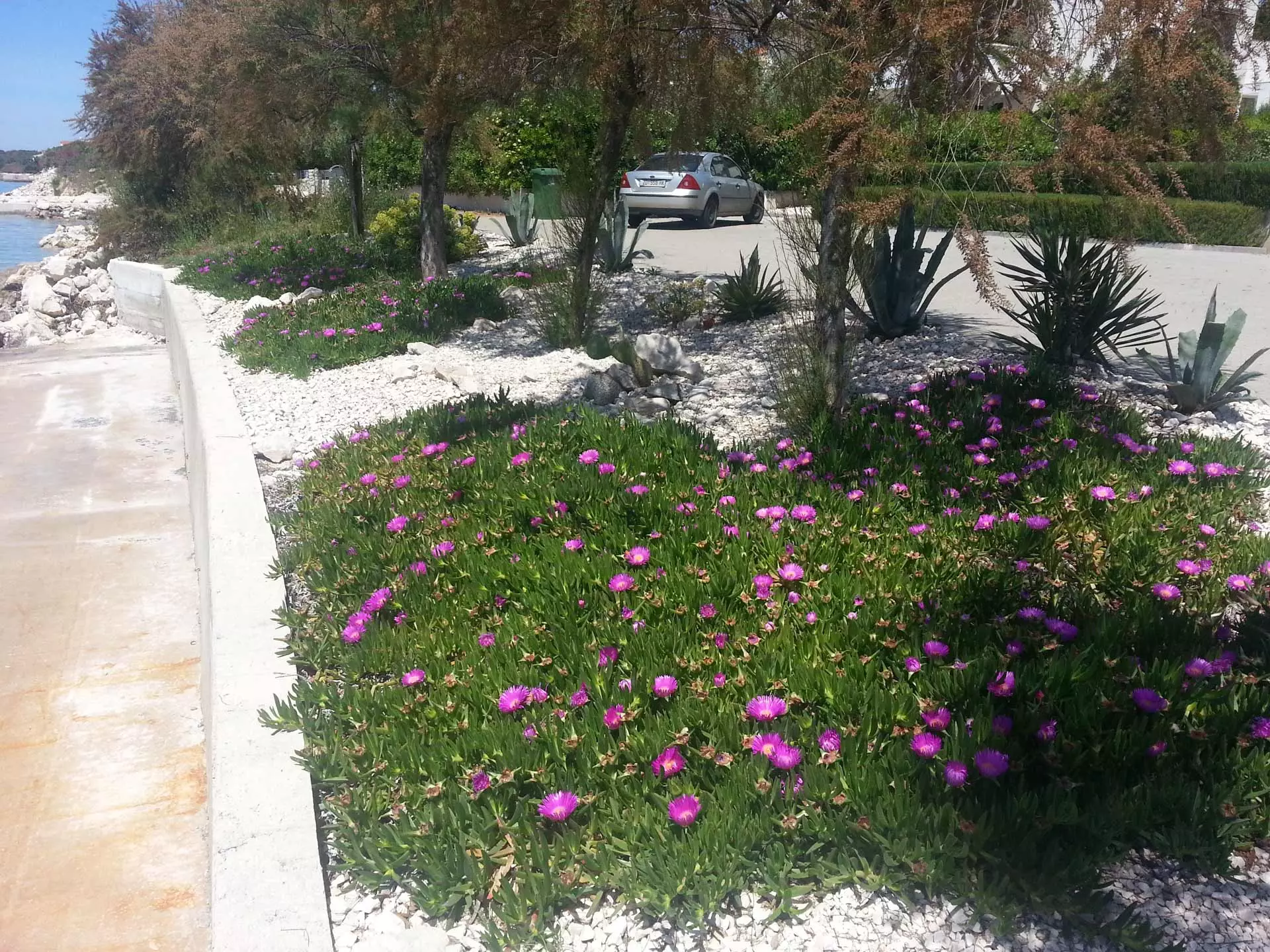 Uređenje,projektiranjeiodržavanjezelenihpovršinaZadarHrvatska1