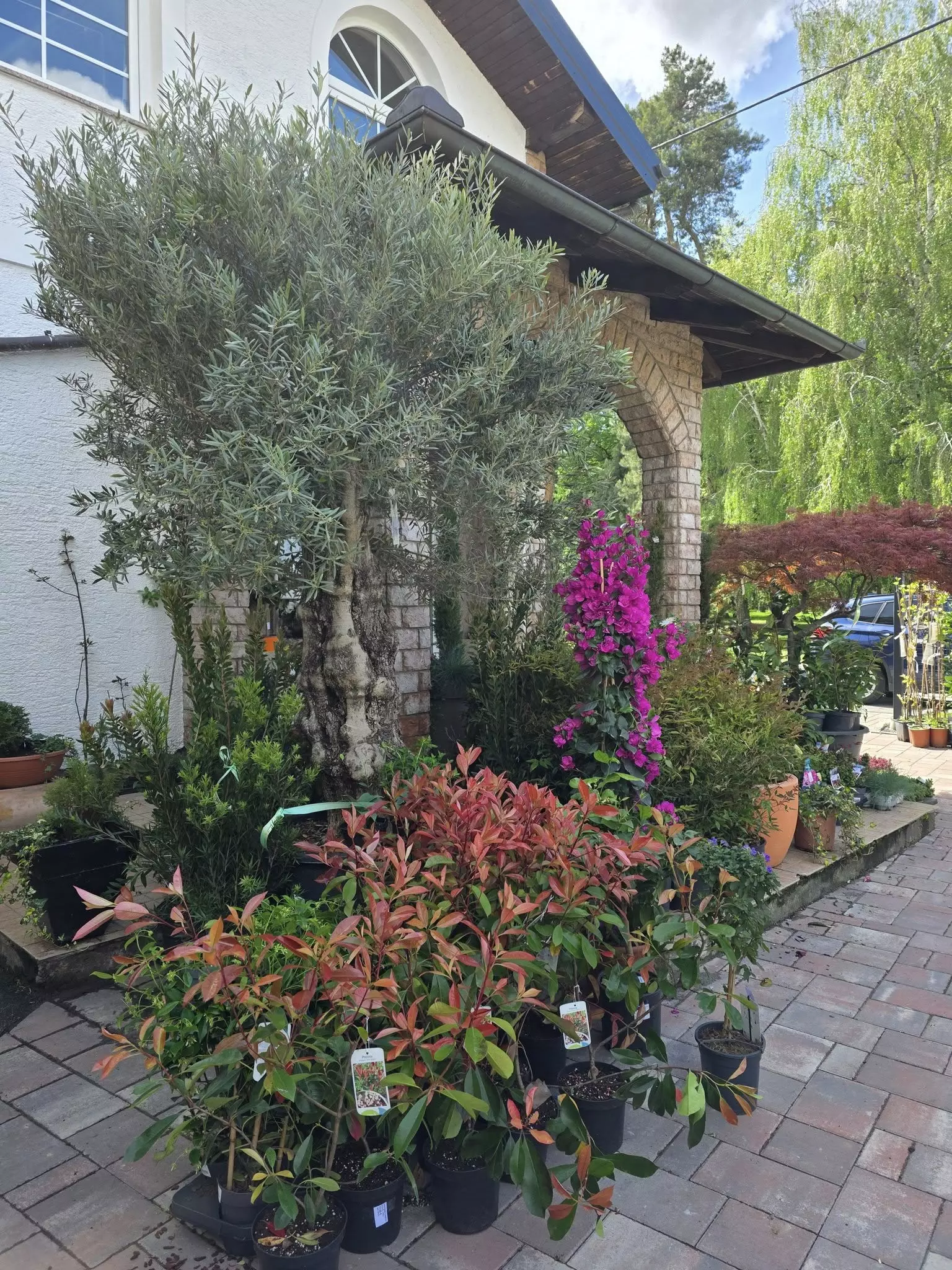 Uređenje okućnica Bjelovar