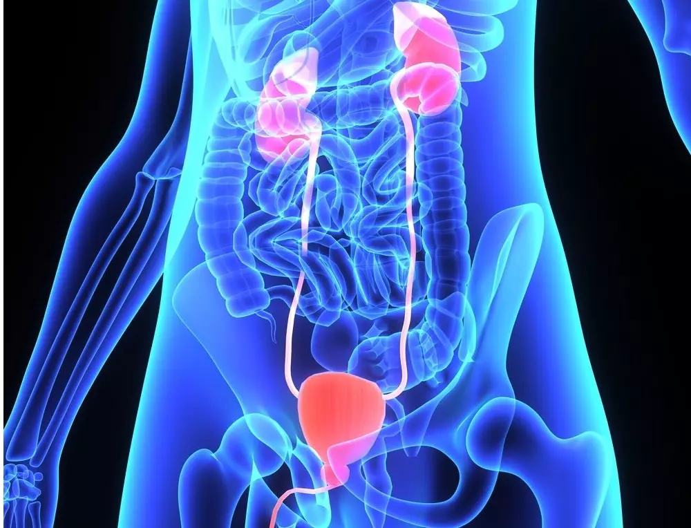 UrologijaidermatovenerologijaZagreb1 UrologijaidermatovenerologijaZagreb1