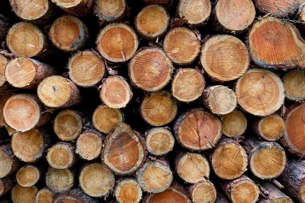 Usluge u šumarstvu Kloštar Ivanić, Hrvatska