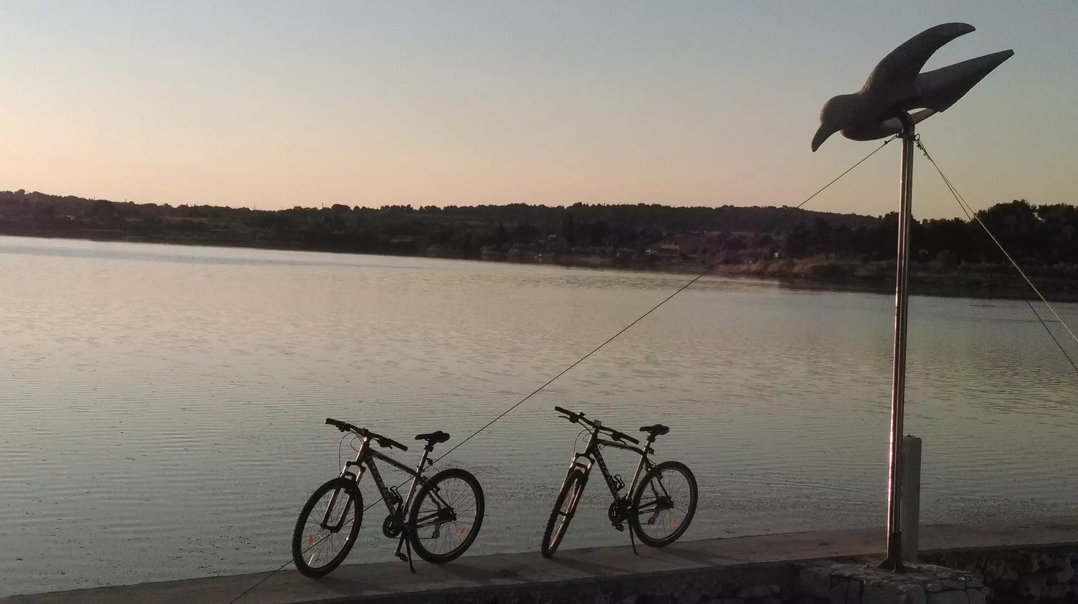 Usluge_transporta_te_prijevoza_tereta_i_robe