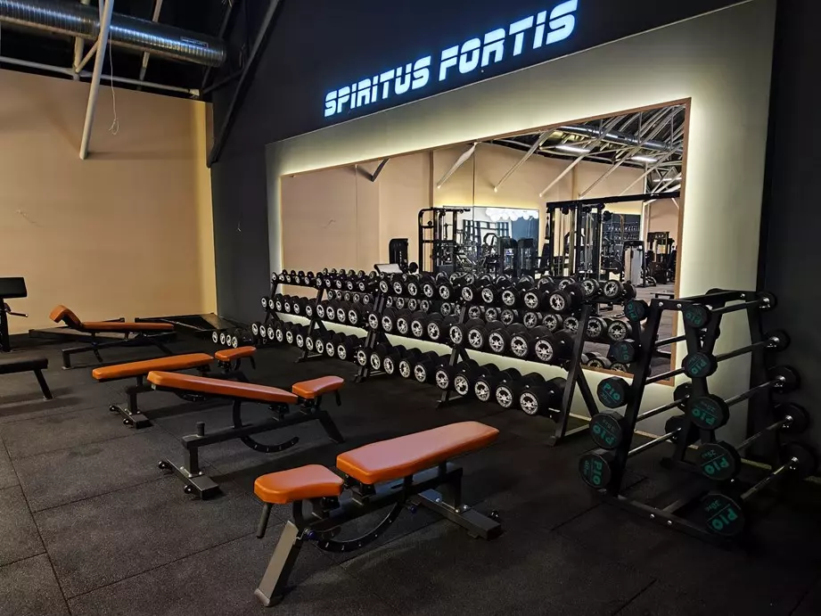 Usluge teretane u Velikoj Gorici Usluge teretane u Velikoj Gorici 0-24