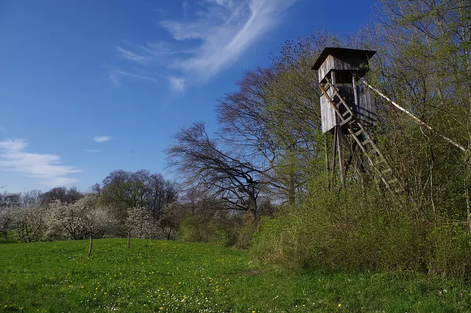 Uzgoj,zaštitailovdivljači,lovniturizam,Čađavica3 Uzgoj,zaštitailovdivljači,lovniturizam,Čađavica3