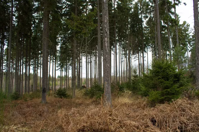Uzgoj,zaštitailovdivljačinapodručjugradaBujeiIstre2