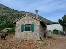 UzgojautohtonihpasminastokeMlinište