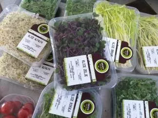 Uzgojiprodajadomaćegpovrća,začinaiklicanaDolcu,Zagreb