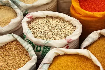 UzgojiprodajaratarskihkulturaGradište4 UzgojiprodajaratarskihkulturaGradište4