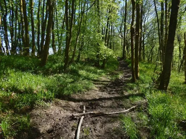 UzgojzaštitalovdivljačiTrnavaOsječko-baranjskažupanija2 UzgojzaštitalovdivljačiTrnavaOsječko-baranjskažupanija2