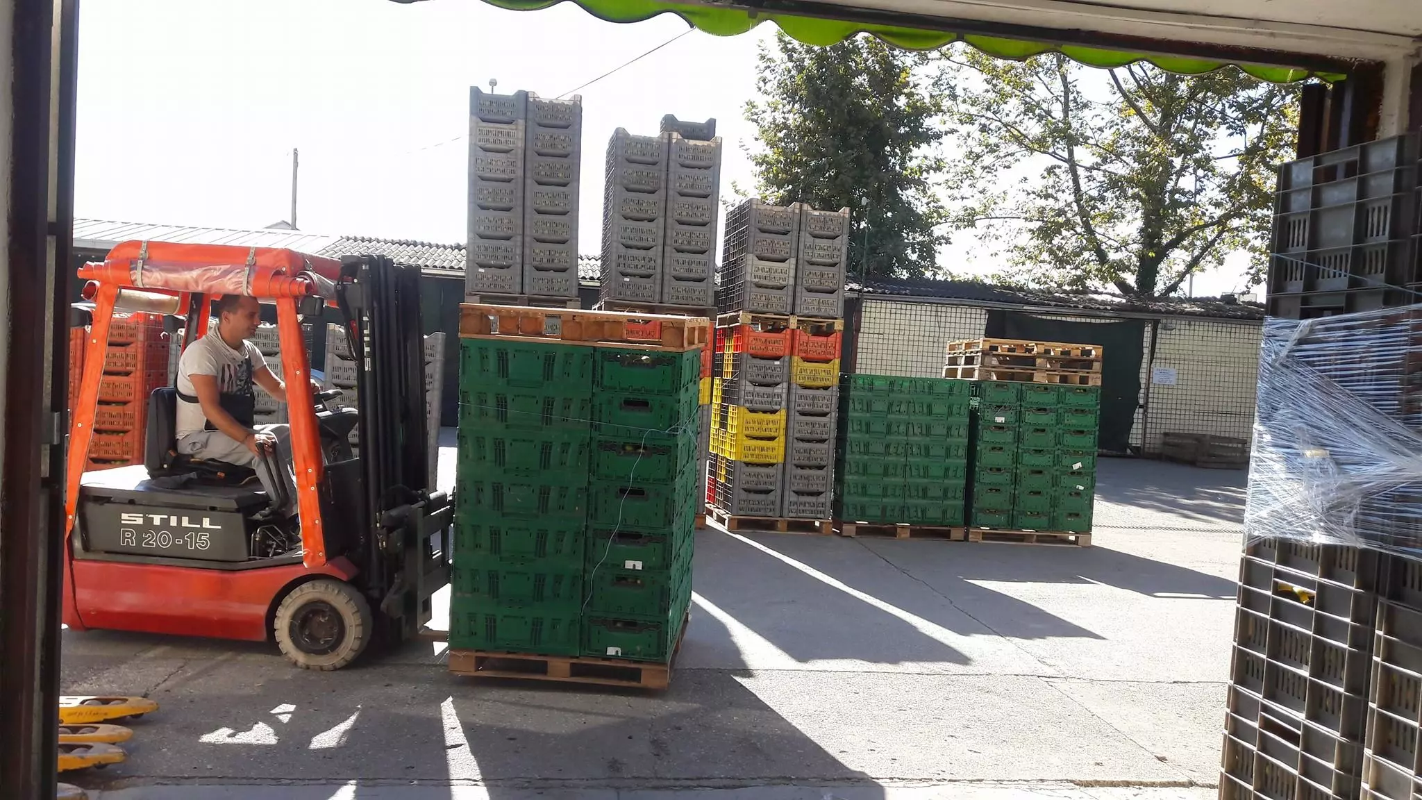 Veleprodajadomaćegvoćaipovrća,Metković3