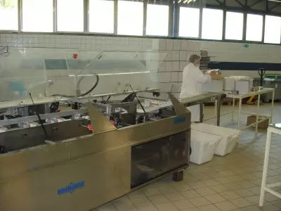 Veleprodajaidistribucijakeksaibombona,Sisak3 Veleprodajaidistribucijakeksaibombona,Sisak3