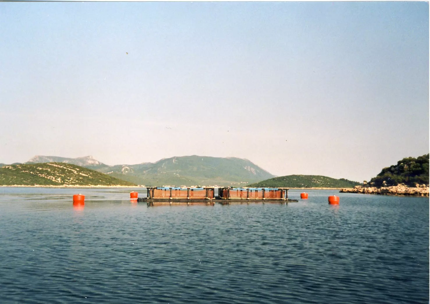 Veleprodajaimaloprodajamorskeribe,Zadar Veleprodajaimaloprodajamorskeribe,Zadar