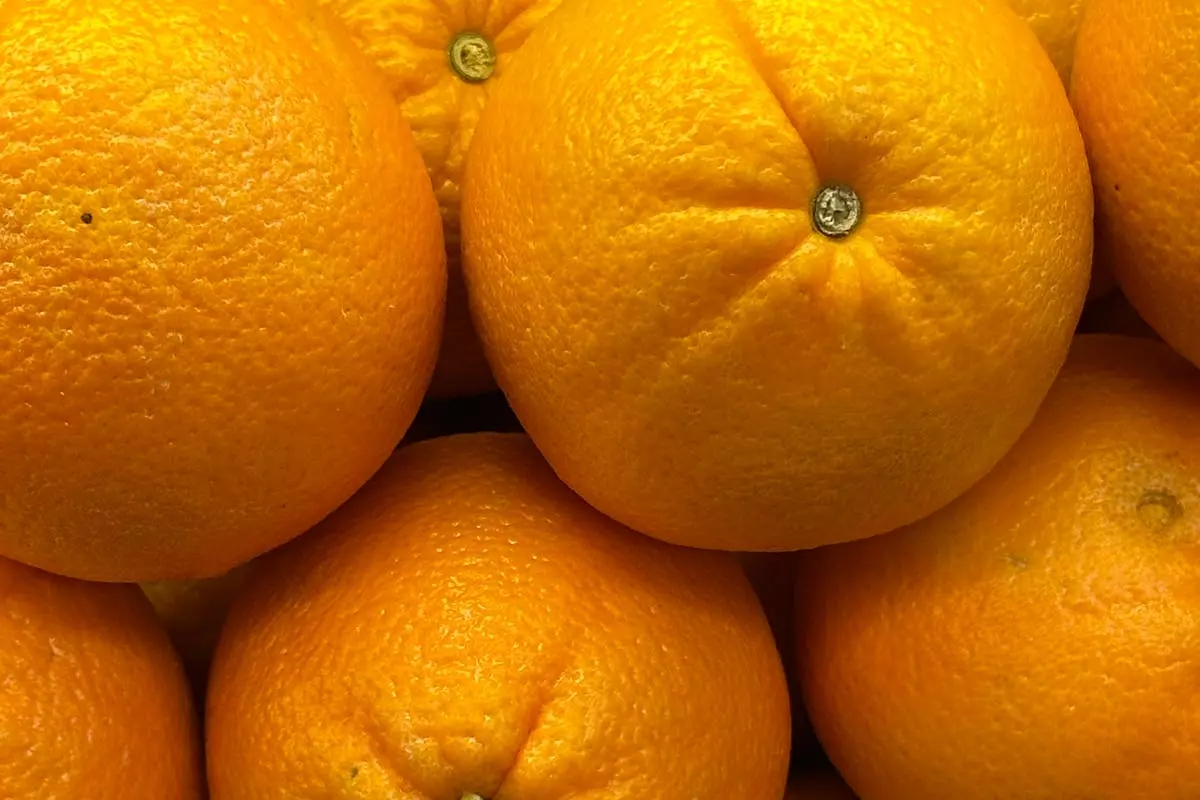 Veleprodaja voća i povrća u Rijeci