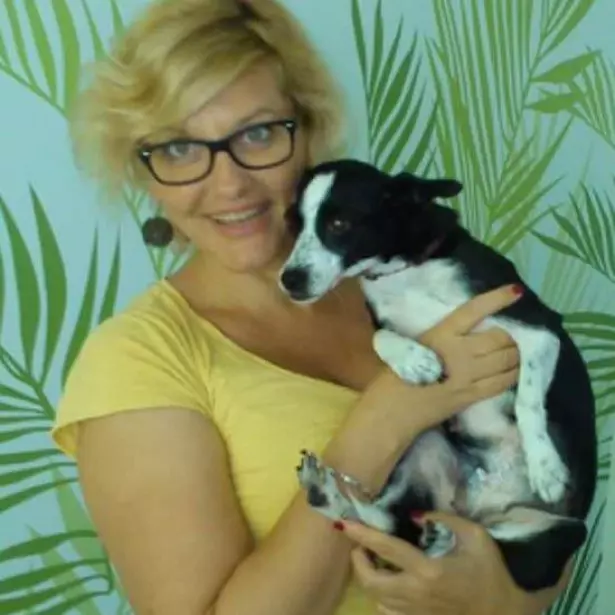 Veterinarskaambulantaisalonzanjegupasa,Split Veterinarskaambulantaisalonzanjegupasa,Split