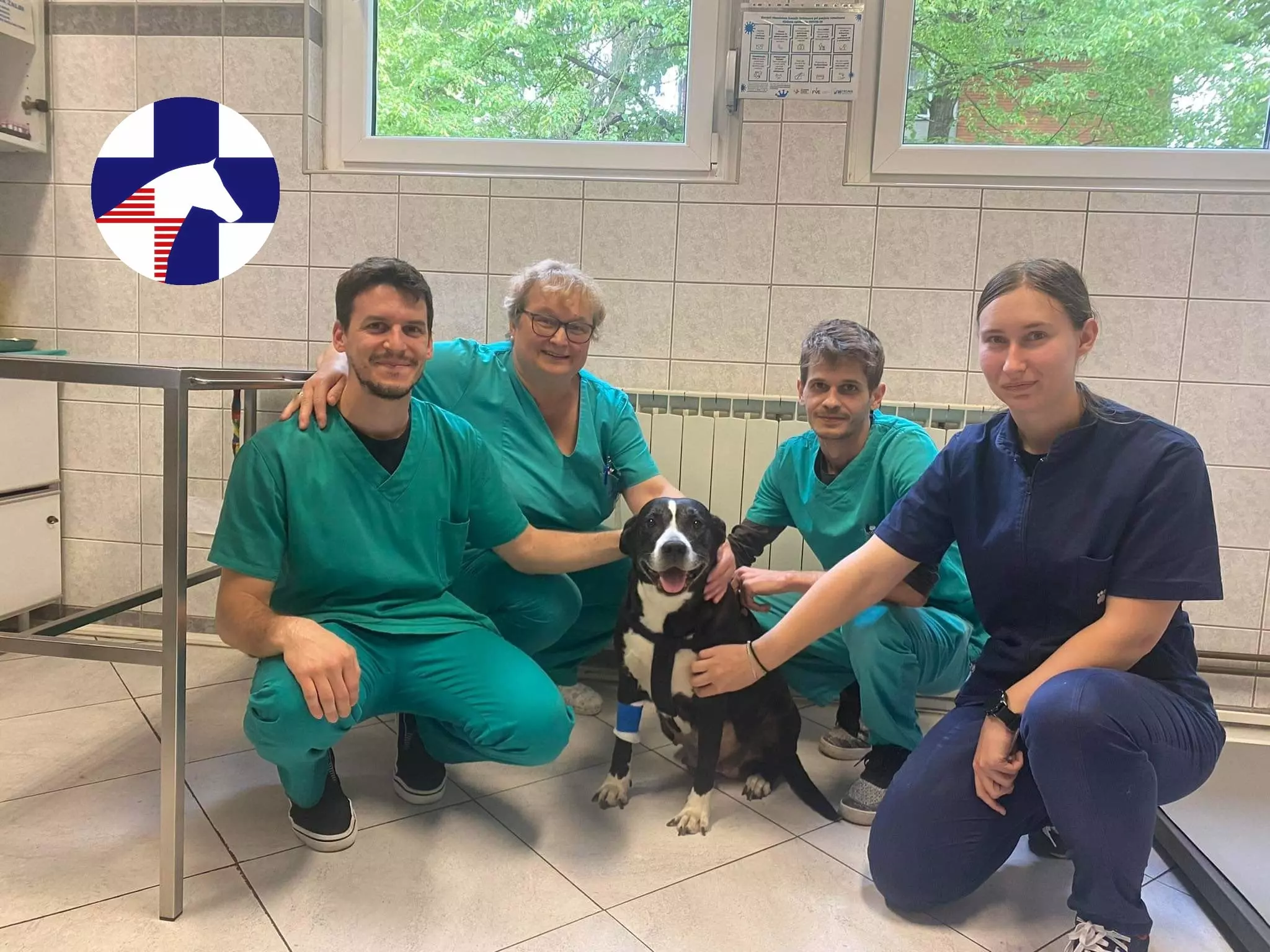 Ultrazvuk i color doppler životinja Osijek, Hrvatska