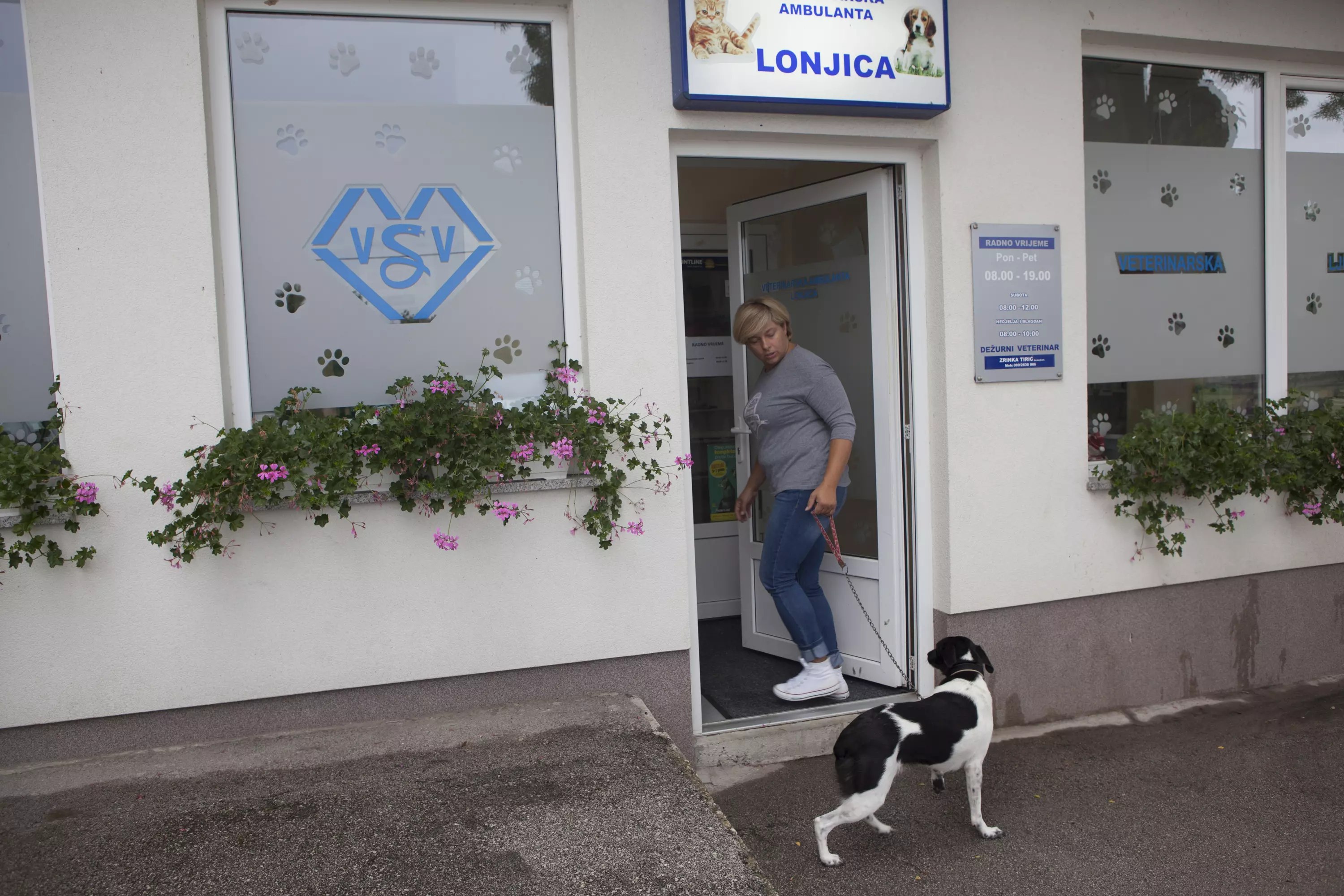 Liječenje kućnih ljubimaca, veterinarska stanica Liječenje kućnih ljubimaca Vrbovec, Zagrebačka županija